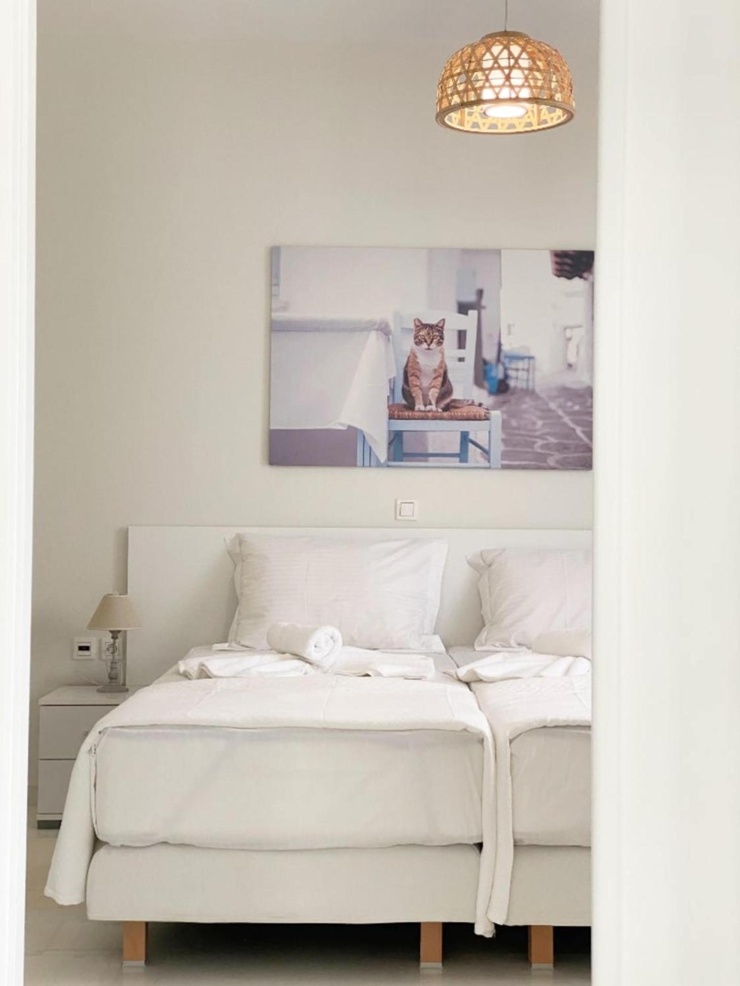 Heart Of Paros Apartments المظهر الخارجي الصورة