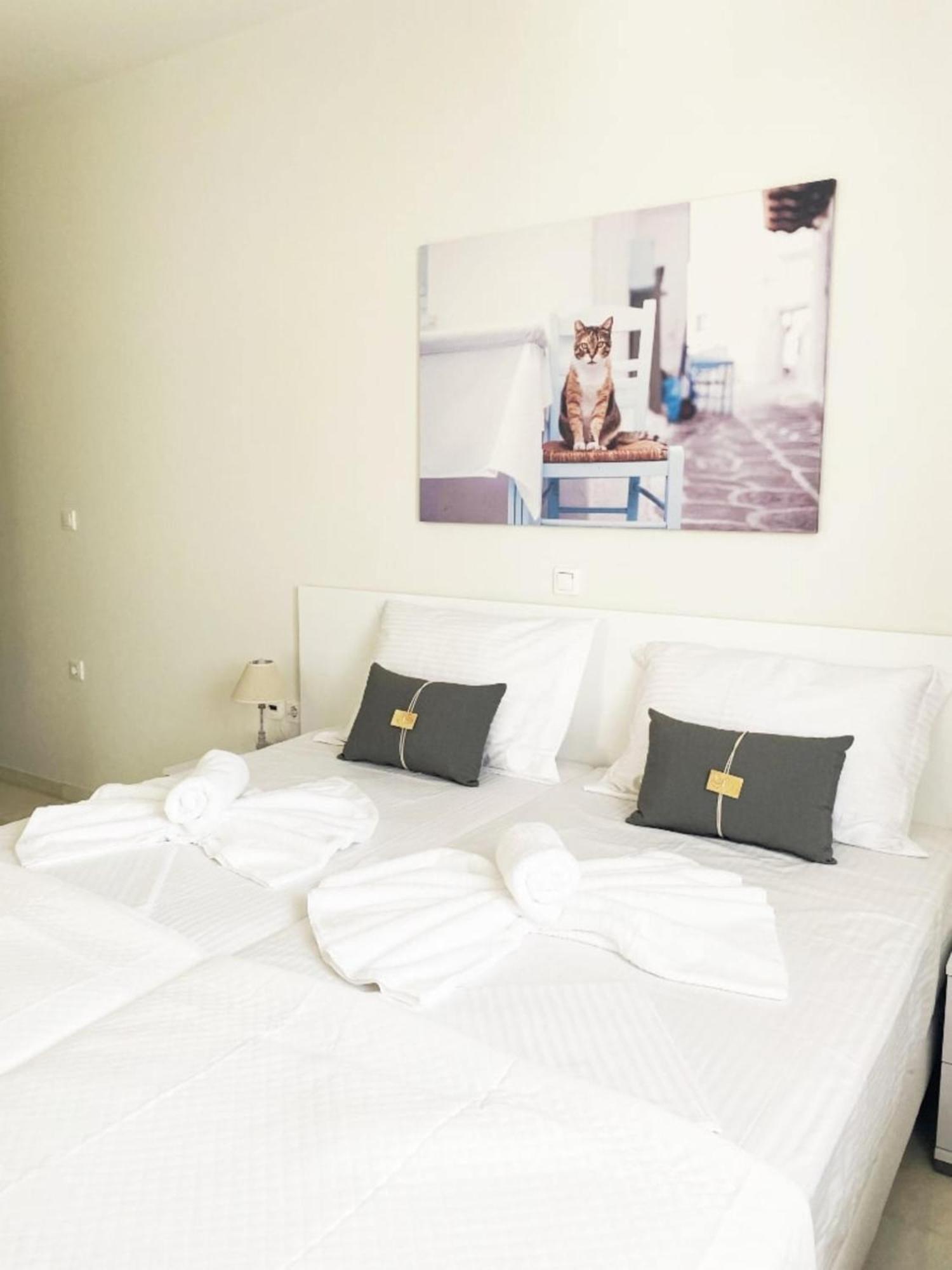 Heart Of Paros Apartments المظهر الخارجي الصورة